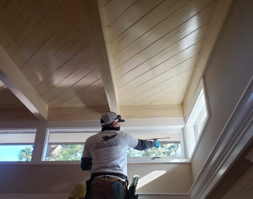 Pegaso window cleaning service Pegaso window cleaning service